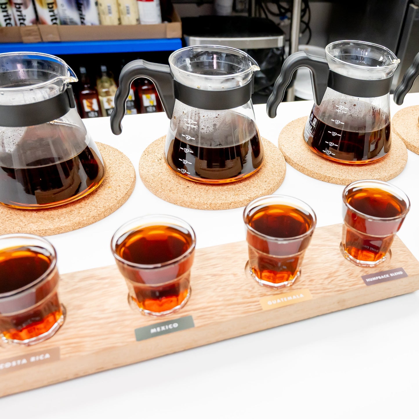 Coffee & Paint Experience – Feb 1st